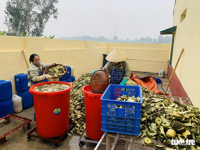 Khởi nghiệp biến vỏ thơm vỏ dứa thành tiền