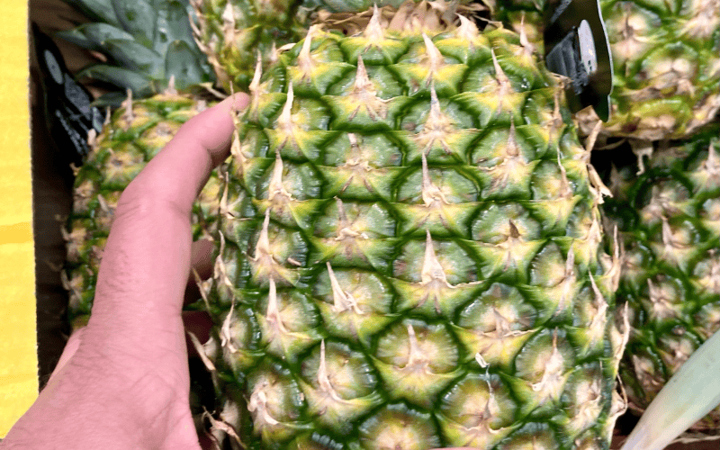 Hoà An Organic hướng dẫn cách bảo quản dứa để lâu không hỏng