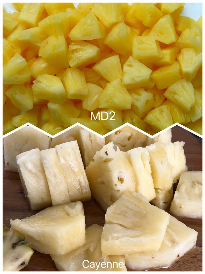 Hoà An Organic hướng dẫn cách phân biệt dứa mật MD2 và dứa Cayenne
