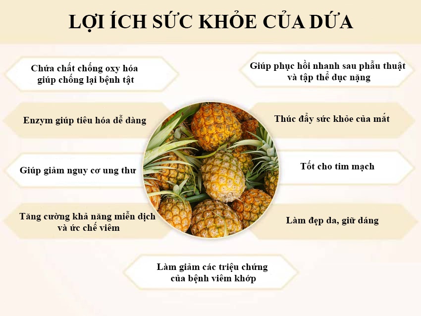 Hoà An Organic chia sẻ công dụng chống ung thư của quả dứa MD2 đối với sức khỏe